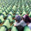 Srebrenica: Europe’s Last Genocide (?)